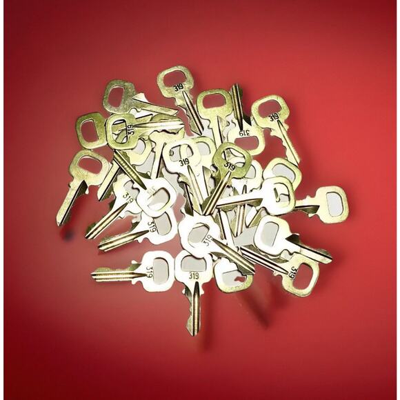 Louis Vuitton Key # 319 Brass 100% Genuine LV Series 300 “ONE KEY” - Picture 9 of 9